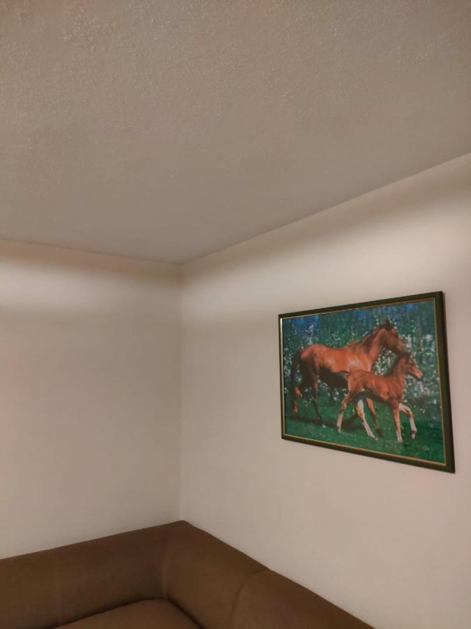 6 Osobowy Apartment Schreiberhau